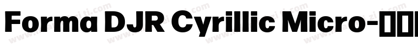 Forma DJR Cyrillic Micro字体转换